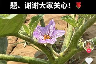 稳定发挥！小波特半场9中5拿到13分5篮板&首节10分